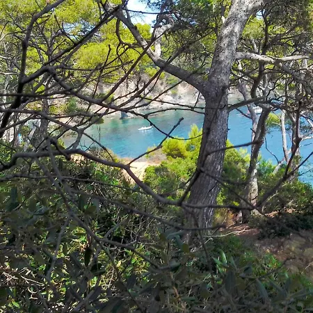 Typical 50m Beaches