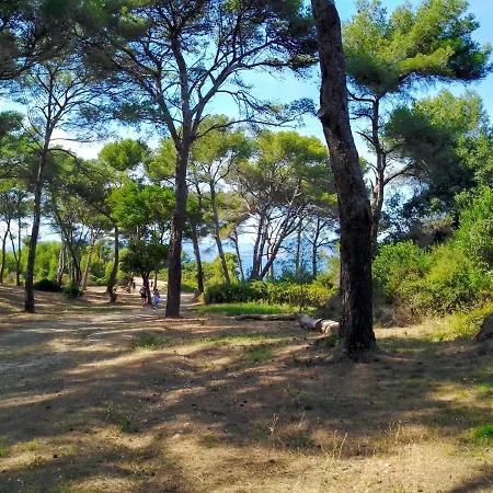 Typical 50m Beaches Apartment Toulon